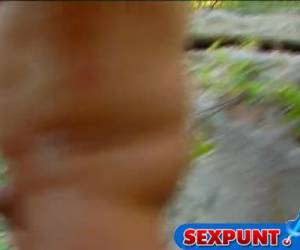 Kwartet in de Biesbosch