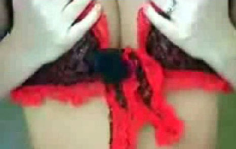 wulps poesje op havs 